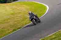 Lower Group Black Bikes